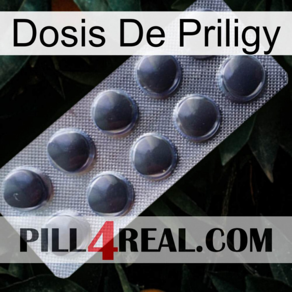 Priligy Dosage 30.jpg